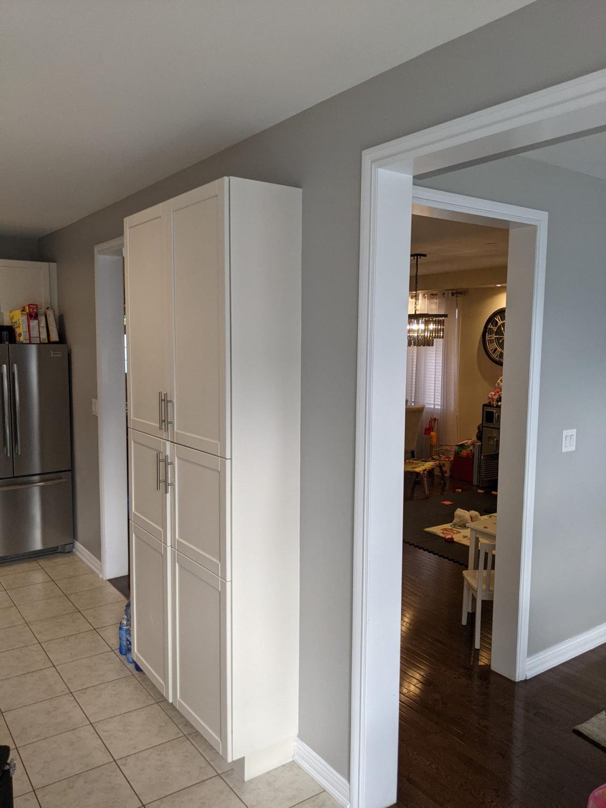 Dr. Madhu–Brampton Project — Photo 1