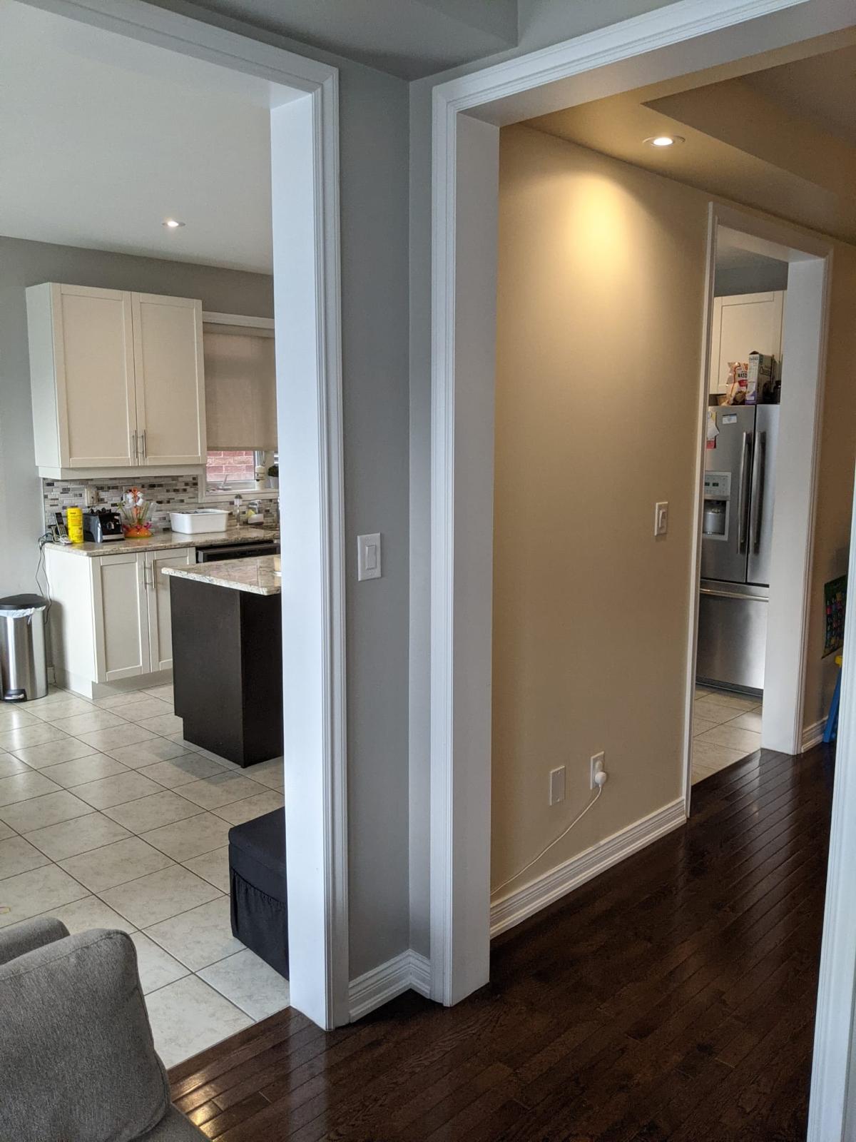 Dr. Madhu–Brampton Project — Photo 2